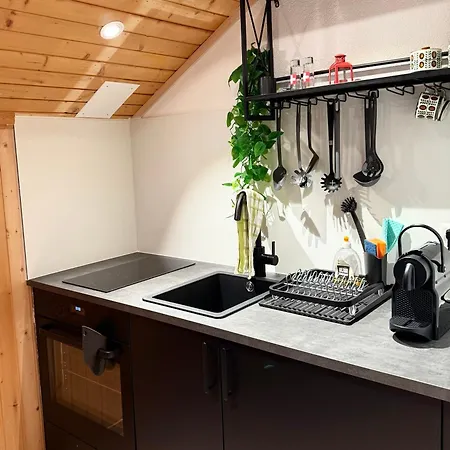 Appartamento Mit Traumhafter Aussicht Auf Orsières
