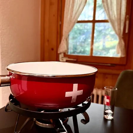 Apartment Mit Traumhafter Aussicht Auf Orsières